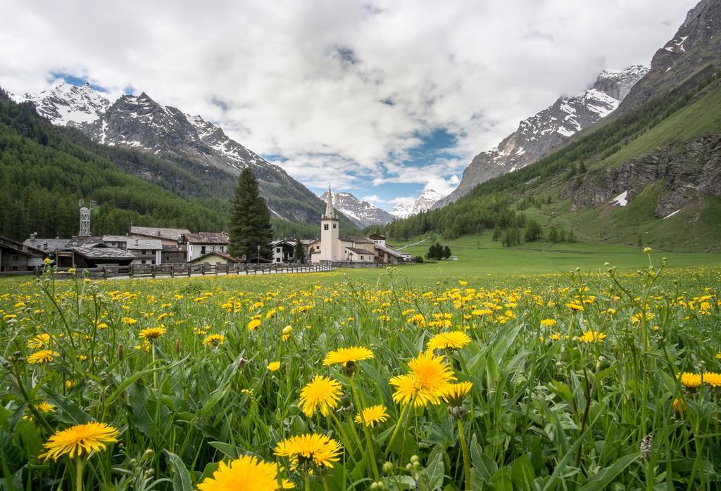Case Gran Paradiso Rhemes Notre Dame Exteriör bild